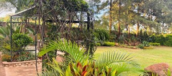 Cabin in The Garden – Kwekwe - 2369