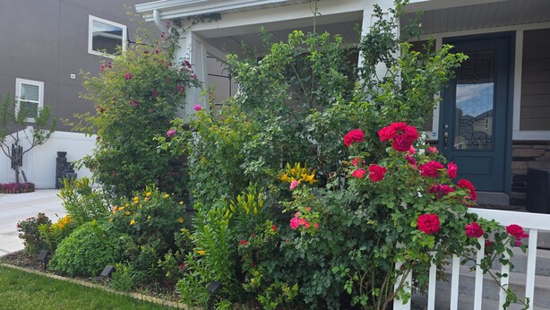 Ein Wohnhaus mit Veranda, ein gepflegter Garten mit verschiedenen Pflanzen und Blumen, und ein klarer Himmel.