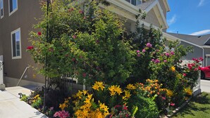 Ein Wohngebiet mit Hausnummernschild, Bürgersteig und einem gepflegten Garten mit verschiedenen Blumen.