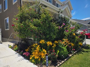 Property grounds - Cozy Apt Near BYU UVU Canyon (Orem)
