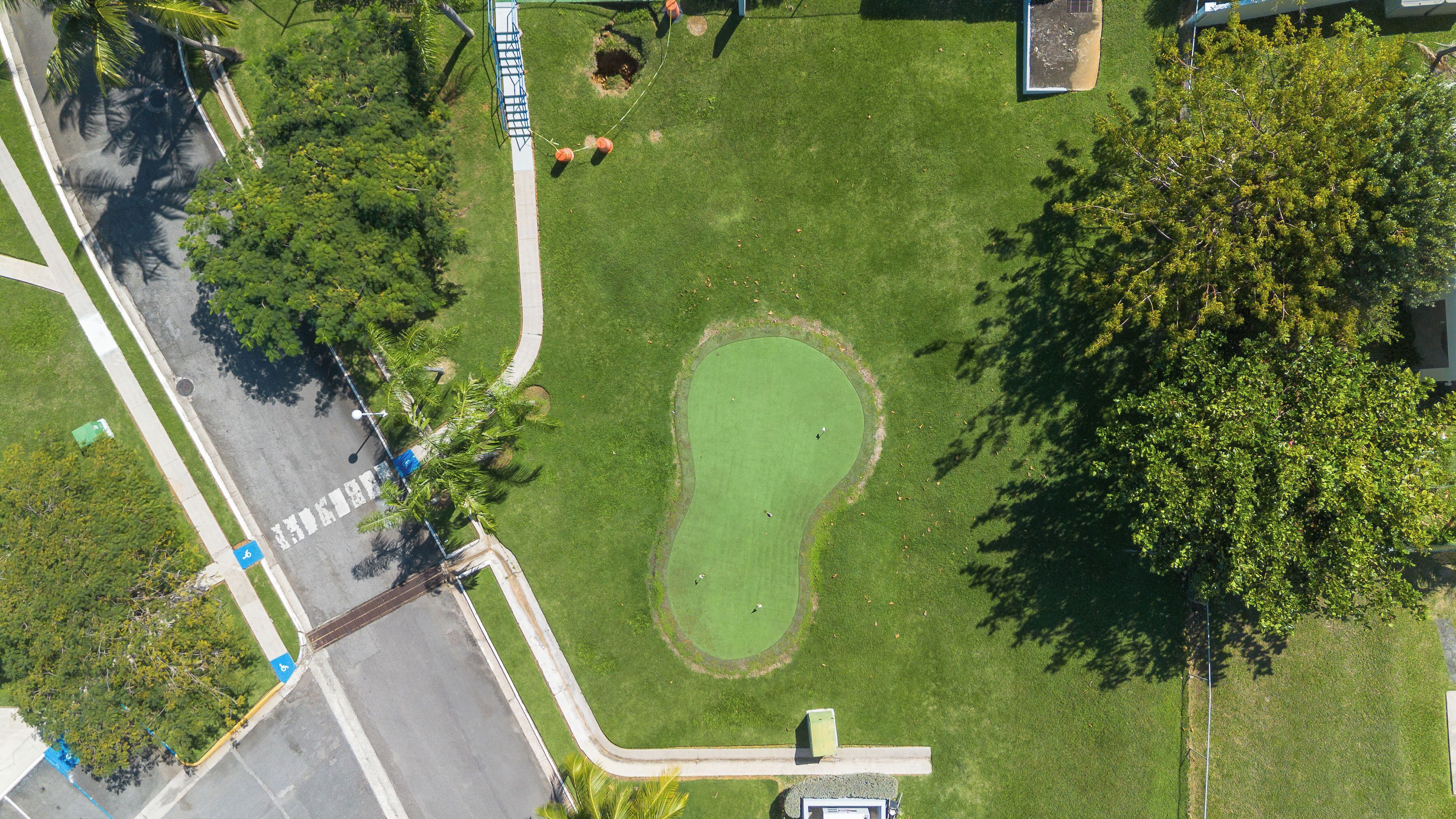 Vista aérea de un campo de golf con un putting green, rodeado de árboles y una carretera.