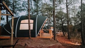 Exterior - A Quiet Winter Escape Beneath New Mexico Skies (Torreon)