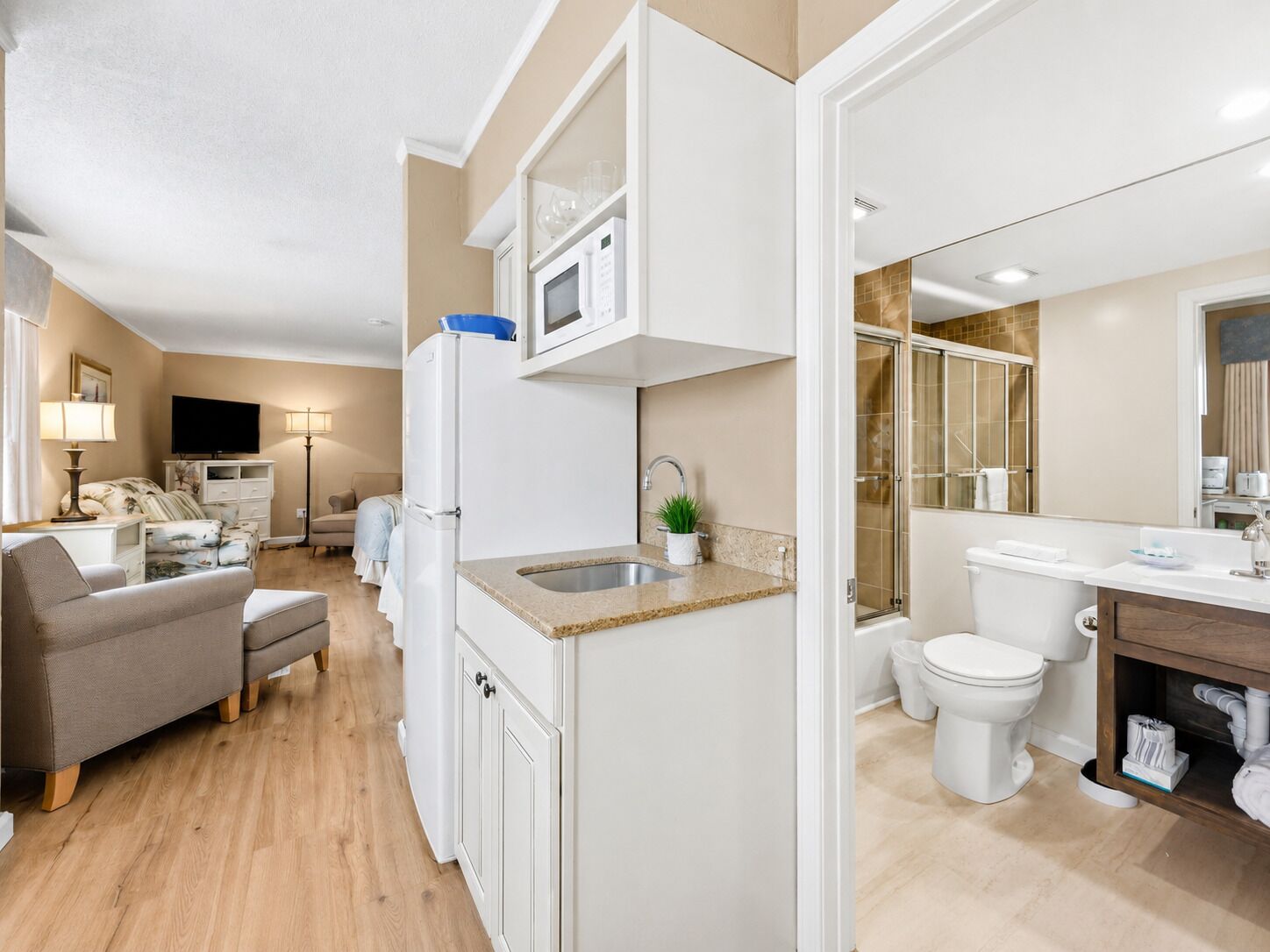 A compact living space with a kitchenette, a sofa, a television, and a bathroom with a shower.