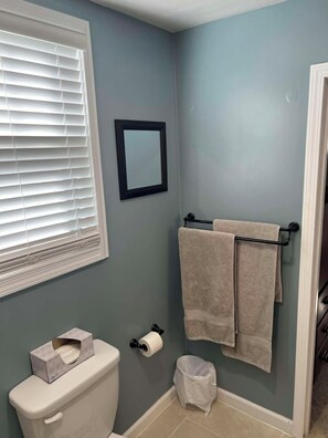 Bathroom - Serene 1-bedroom house in Newton (Newton)