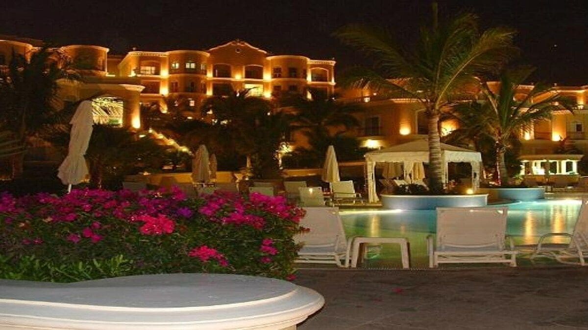 A hotel pool area with lounge chairs and umbrellas, surrounded by palm trees and flowering plants.