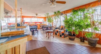 Lone Star Inn Vernon