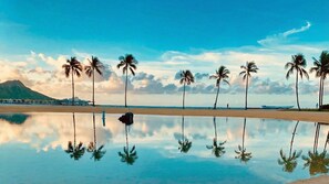 Une plage bordée de palmiers, sous un ciel dégagé.