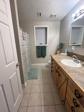 Bathroom - 2 bedroom basement apartment with stunning mountain views close to town (Morganton)