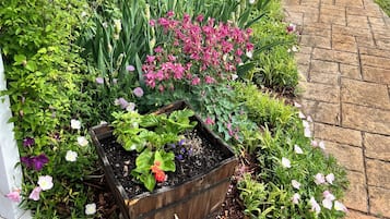 Overnatningsstedets område