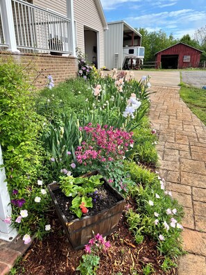 Terrein van de accommodatie