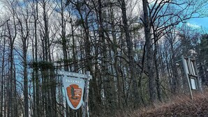 A road sign with 'BLUE RIDGE PARKWAY' and 'NATIONAL PARK SERVICE' text, surrounded by trees and a clear sky. - Blue Ridge Mountain Inn (Meadows Of Dan)