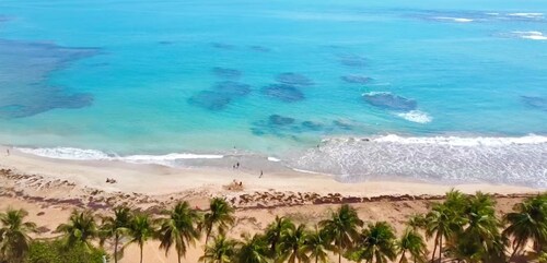 Private Villa Compound by El Yunque, 3 Homes w. Private Pool, up to 27 guests!