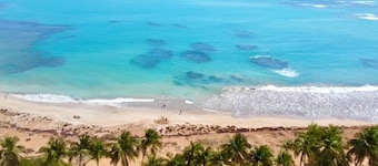 Private Villa Compound by El Yunque, 3 Homes w. Private Pool, up to 27 guests!