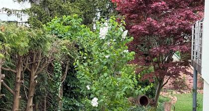 Außergewöhnliche romantische Ferienwohnung Sonnenschein Weinheim am Waidsee