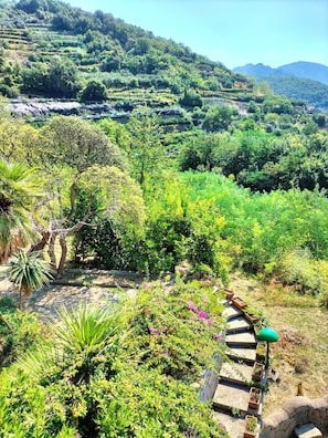 Property grounds - Belvedere of Gloria villa Di Martino (Tramonti)