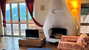 Een gezellige woonkamer met een open haard, een bank, een televisie en uitzicht op de natuur door grote ramen.