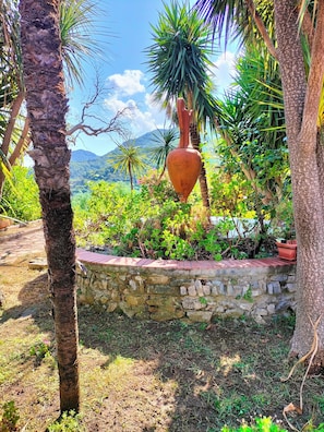 Property grounds - Belvedere of Gloria villa Di Martino (Tramonti)