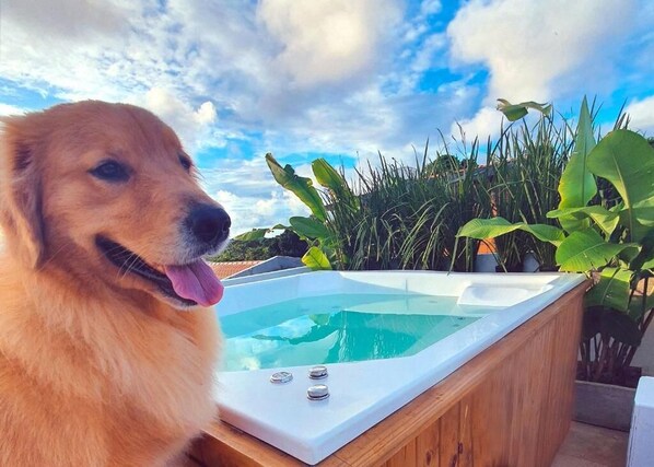 A dog sitting next to a wooden hot tub with a clear blue sky and greenery in the background.