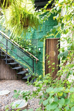 Property grounds - Musa Paradisiaca Lodging in the Urban Heart of Santa Marta (Santa Marta)