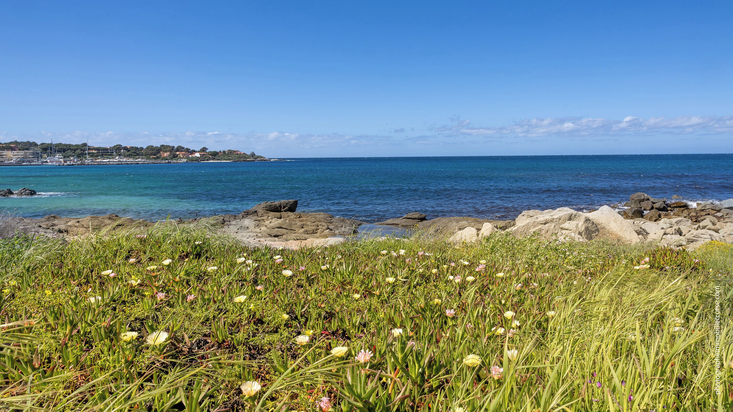 Eine Küstenlandschaft mit felsiger Küste, klarem blauen Meer und einem grasbewachsen Vordergrund mit Wildblumen.