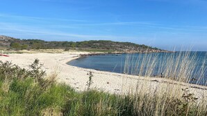 Una spiaggia con acque cristalline, una riva sabbiosa e vegetazione verdeggiante.