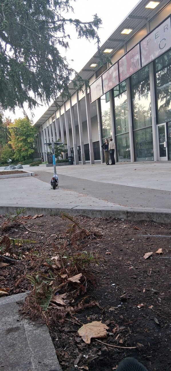 Property grounds - Perfect recreational vehicle in peaceful Seattle for your adventure (Seattle)
