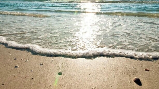 A beach with clear water, sunlight reflecting off the surface, and a calm sea. - Beach Paradise on Venice Island (Venice)