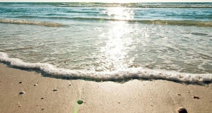 Beach Paradise on Venice Island