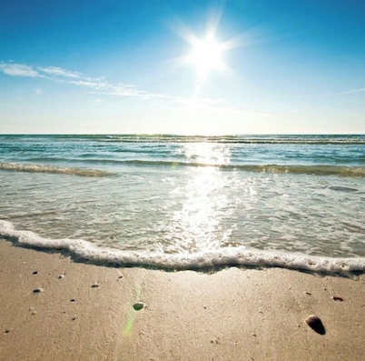 Beach Paradise on Venice Island