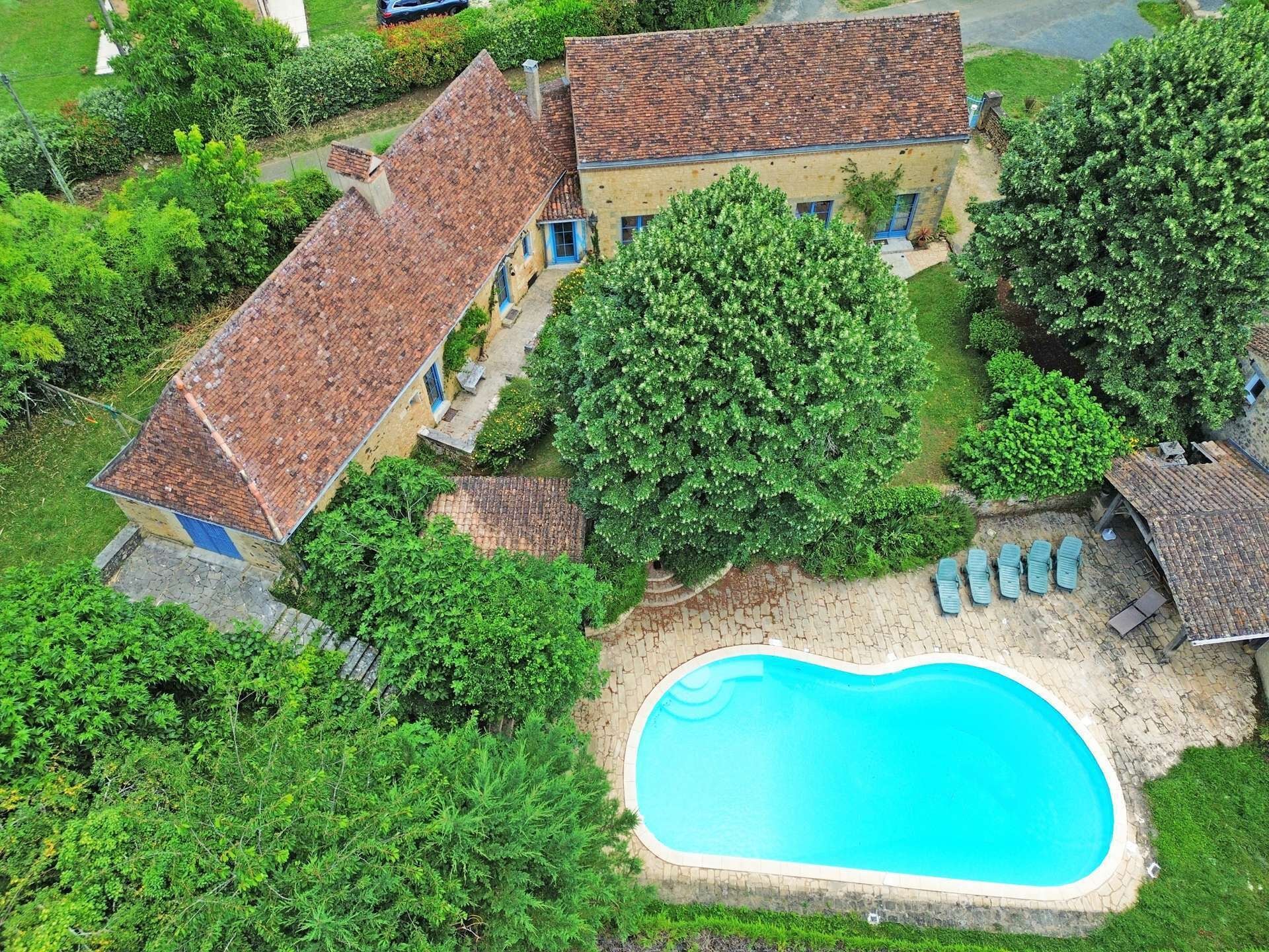 Ett hus med en swimmingpool, omgivet av frodig grönska.