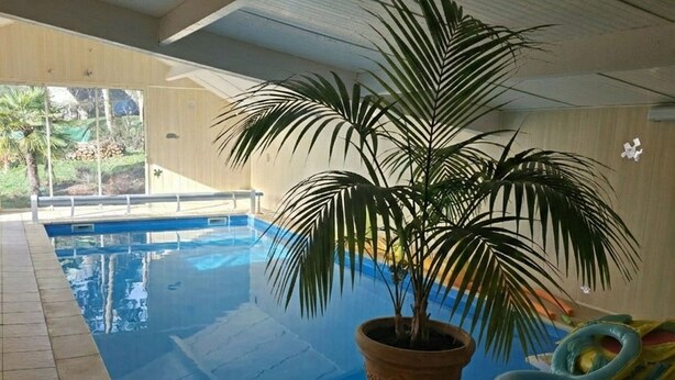 Piscina interna com chão revestido de azulejos, uma palmeira em vaso e boias infláveis.