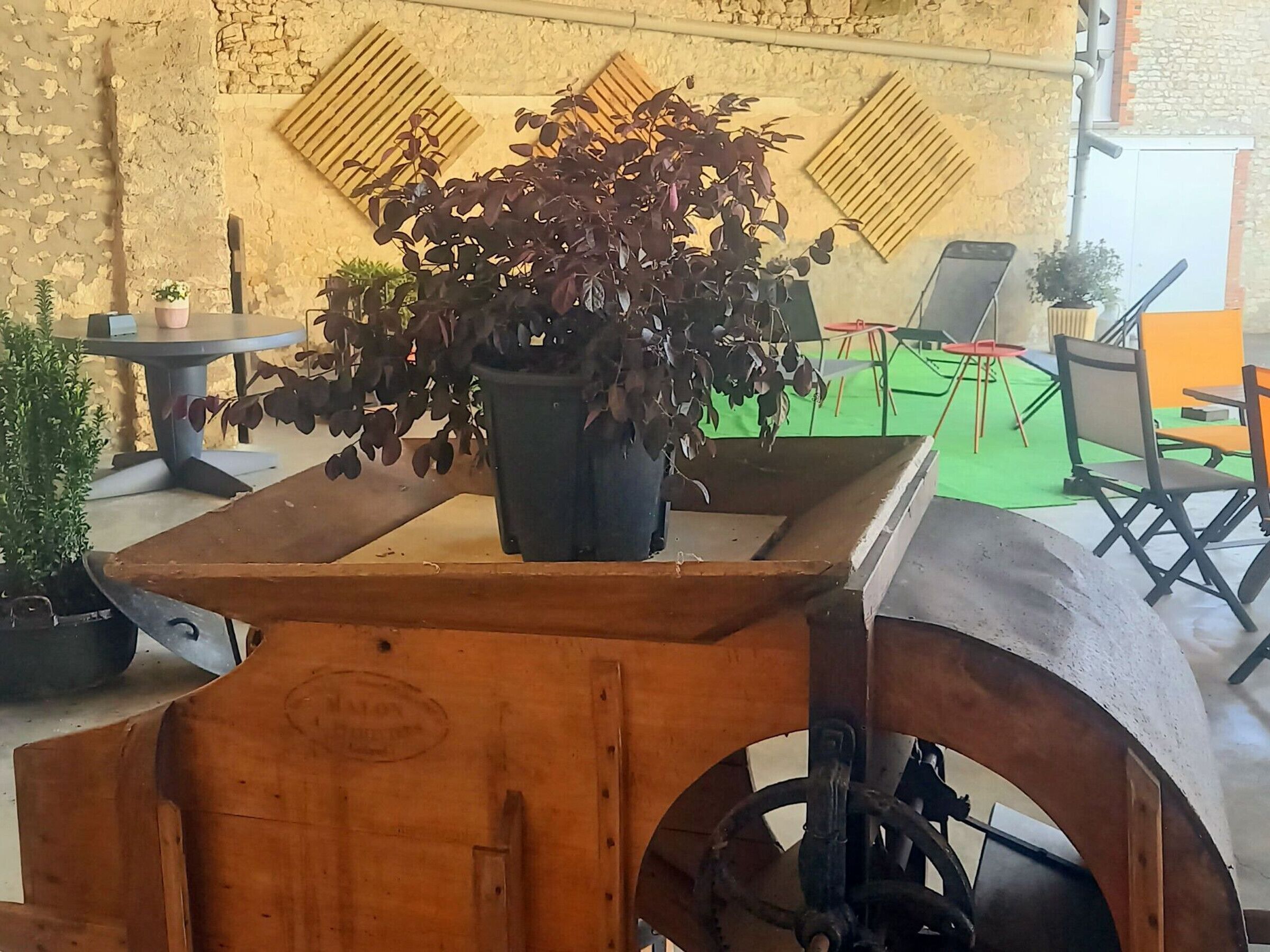 Una mesa de madera rústica con una planta en maceta, una rueda de bicicleta antigua y un área exterior verde con sillas y mesas.