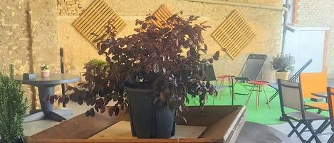 Una mesa de madera rústica con una planta en maceta, una rueda de bicicleta antigua y un área exterior verde con sillas y mesas.