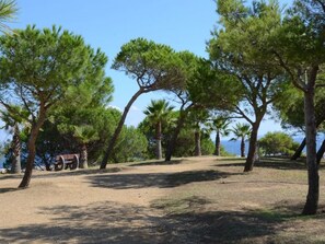 Overnattingsstedets uteområder