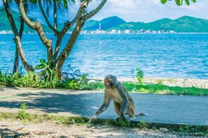 Property grounds - Shoho Hotel Nha Trang (Nha Trang)