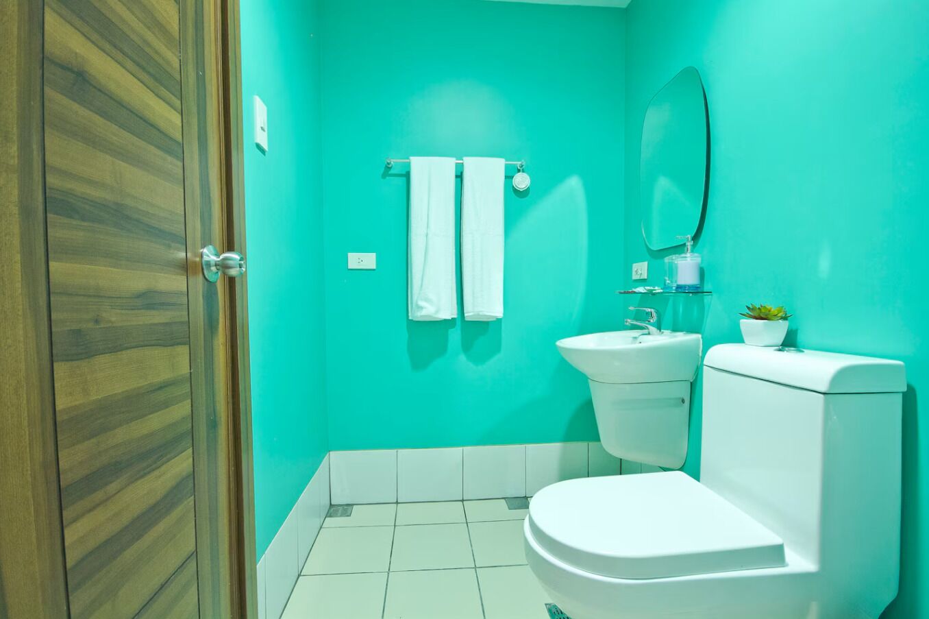 Haartrockner, Handtücher, Seife, Toilettenpapier