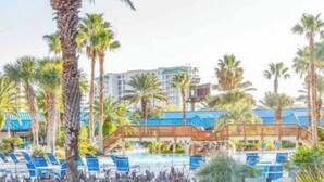 A poolside area with lounge chairs, a sofa, and a small table. Palm trees and a building with blue roofs are in the background. - 💎renovated paradise! 10th floorOcean View & lagoon view @ the Palms of Destin🌅🌴 (Destin)