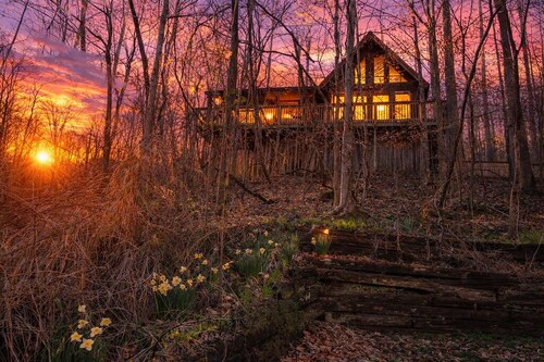 Cozy RRG Cabin | Hot Tub | Dog Run | No-Step Entry