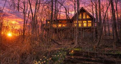 Cozy RRG Cabin | Hot Tub | Dog Run | No-Step Entry