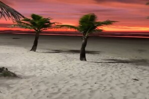 Ein Strand mit zwei Palmen und einem Sonnenuntergang.