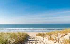 Beach - 1 bedroom beautiful apartment in Arcachon (Arcachon)