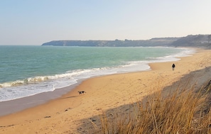 Ein Strand mit einer Person, die spazieren geht, und einem Hund.