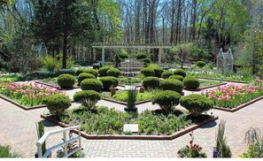 Property grounds - Massage Chairs - Theater Room - By UGA - Swing Set (Athens)