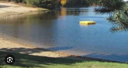 3-BR Forest Lake Cabin: 1-Acre, Private Dock, Fire Pit, No Pet Fee!