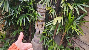 Una mano indica una statua di pietra circondata da rigogliosa vegetazione.