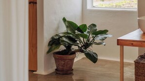 Ein Zimmer mit einem großen Fenster, einem Blumentopf, einer Holztür und einer Wandleuchte.