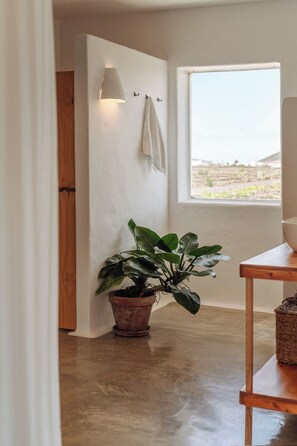 Une pièce dotée d’une grande fenêtre, d’une plante en pot, d’une porte en bois et d’un luminaire fixé au mur.