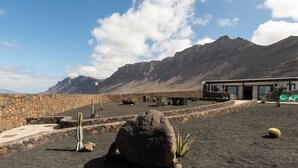 Un paysage désertique avec un mur de pierre, des cactus et un bâtiment moderne doté de grandes fenêtres.