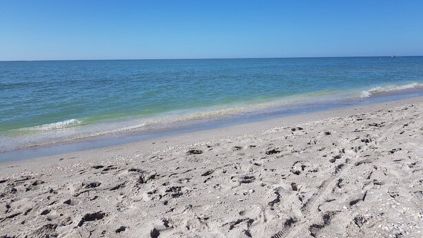 En sandstrand med fotspår som leder ner mot vattnet, en klar himmel och ett lugnt hav.
