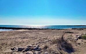 En sandstrand med stenar och gles vegetation, som leder ner till ett lugnt hav under en klar himmel.